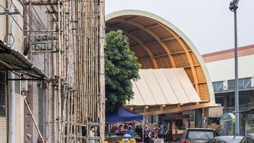 在南方,我們常常躲進陰影乘涼