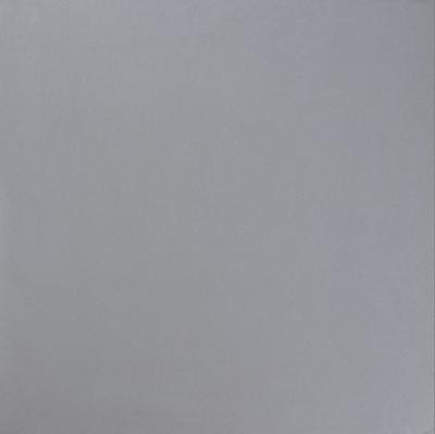 【佛山適合東南亞市場市場的瓷磚工廠】圖片_品牌_生產供應商廠家-佛山市紅珠建材