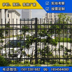 東莞工廠鋅鋼護欄批發(fā) 佛山公園組裝護欄 揭陽廠區(qū)鋅鋼圍欄