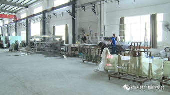 當年引進當年投產,在肇慶這個縣城辦廠速度就是快