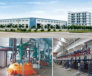 公司介紹_佛山市東方領航貿(mào)易公司會員商鋪-中國貿(mào)易網(wǎng)-會員網(wǎng)站