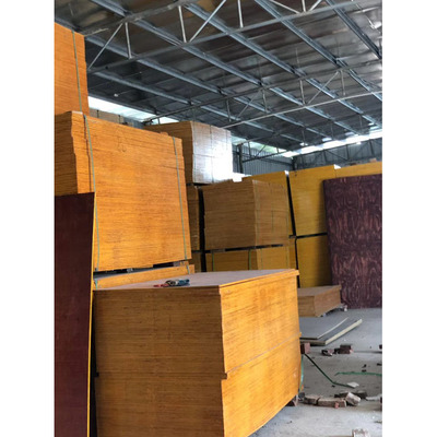 梅州建筑木工支模板 建筑木模板廠家 工地建筑模板公司