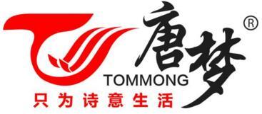 唐夢電視背景墻