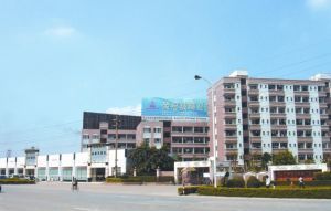 建筑玻璃_佛山市榮冠玻璃建材