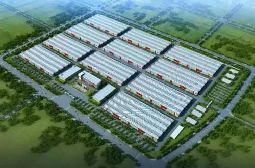 碧桂園23億建家居產業園生產整裝衛浴,產品質量誰管控